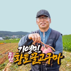 [착한농부] 기영민 무안 황토땅 꿀고구마 10kg #이렇게 달수가, 1박스, 특상 10kg (90-300g이내)