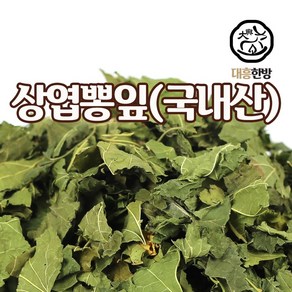 대흥한방 상엽(뽕잎) 600g 국내산, 1개