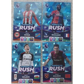 Panini EPL 2024 파니니 프리미어리그 RUSH 선택구매, Hay Wilson, 1개