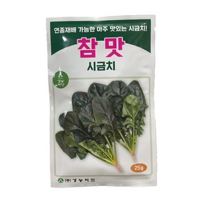 시금치씨앗 25g [24년포장] 연중재배 가능한 참맛시금치 종자 진짜맛있어요, 1개