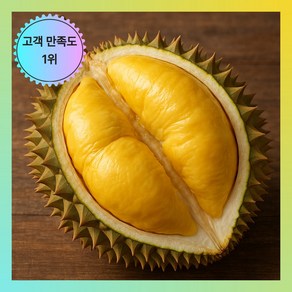 고당도 생두리안 태국 항공직송, 2.5-3kg, 1개