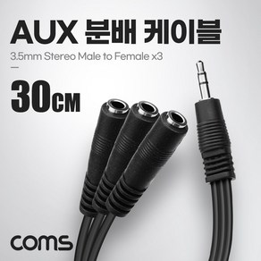 AUX 분배 케이블 30cm Y형 스테레오 (W9401BA)