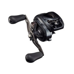 다이와(DAIWA) 21 타투라 TW 300XH, 1개