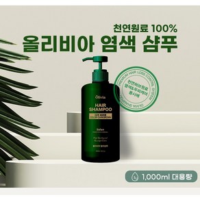 샴푸로염색하세요 올리비아염색샴푸(다크브라운칼라)1000ml 대용랑, 1개, 1L