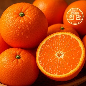 [초고당도] 16브릭스이상 제주 카라향 선물 봄 귤 감귤 제철, 1개, 못난이 10kg (혼합과/35-50과)