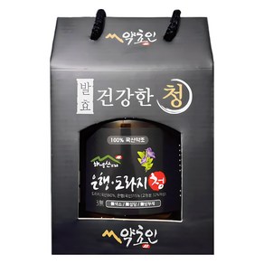 약초인 은행도라지청, 1개, 1kg
