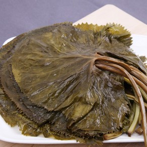 윤플러스 강원도 홍천 곰취나물 절임 장아찌 반찬, 1개, 1kg
