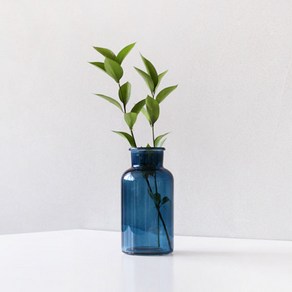블루밍앤미 코발트 블루 시약병(125ml), 단품