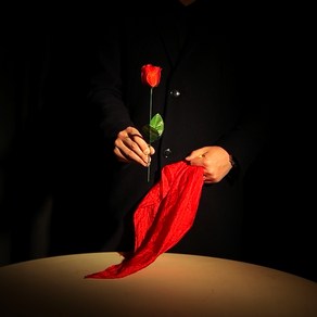 [비앤비매직] 컬러체인지로즈, 1개