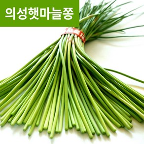송이네농장 부드러운 의성 햇 마늘쫑, 2kg, 1박스