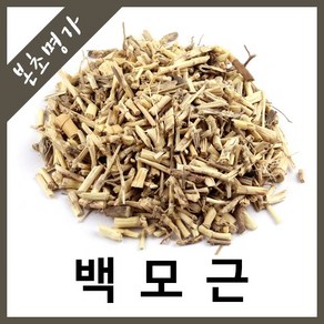 본초명가 백모근 백화모근 띠뿌리, 600g, 1개