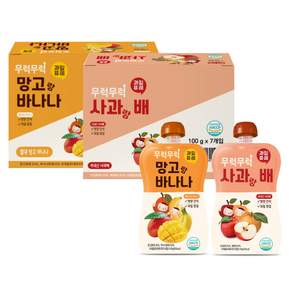 6개월 아기 과일퓨레 첫 과일퓨레는 9
