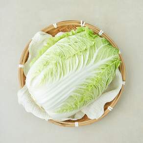 중국산 신선배추