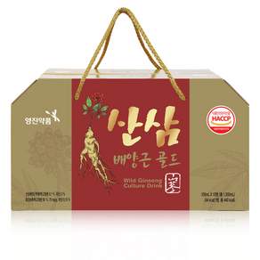 영진약품