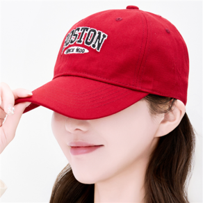 노이드비
