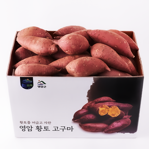 해뜨레 영암 호박고구마, 1박스, 10kg 특상