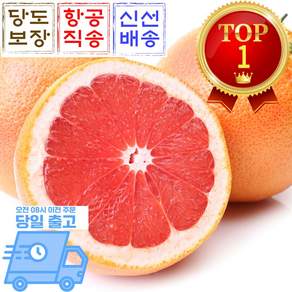 [믿고마트] 레드루비 자몽 생과 항공직송, 1박스, 자몽 대과 10과(개당 370g내외)