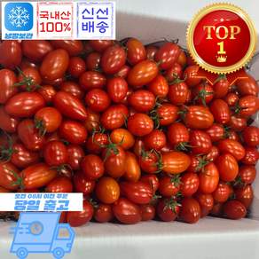 믿고마트 대추방울토마토 당일수확, 1박스, (대추방울 토마토 3-4번 다마) 500g