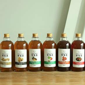 GREEN 햇빛촌 자연발효 옹기숙성 수제 생과일 식초 사과식초, 2개, 500ml