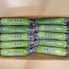 싱싱냠냠 국내산 인큐애호박 햇 애호박, 1박스, 1kg(최상품)