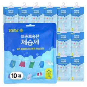 맑은날뽀송뽀송제습제 옷걸이형 습기제거제, 120g, 10개