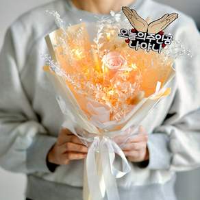 아르띠콜로