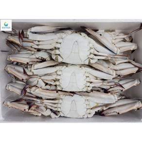 냉동 꽃게 절단 꽃게 게장용 꽃게 찌개용 냉동 꽃게 절단양념게장용 냉동 꽃게 찜용 냉동 꽃게 절단 업소용 냉동 꽃게 절단 게장용, 300-400(11/12미)4kg, 1개
