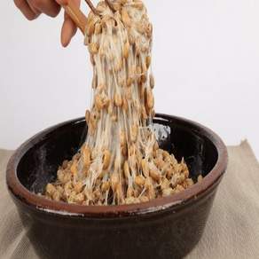 2+1상품 청국장찌개가 맛있는 냄새안나는 재래식 생 청국장 향시1kg, 1개, 1kg