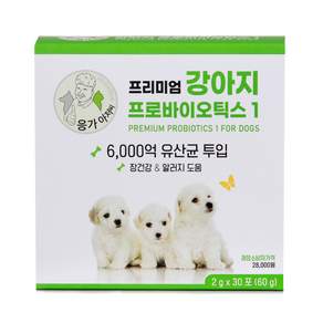 응가아저씨 프리미엄 강아지 프로바이오틱스1 6000억 유산균, 30회분, 장건강/유산균, 1박스