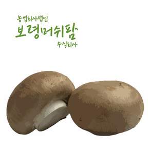 [ 보령머쉬팜]양송이버섯 특품 갈색양송이500g, 1개, 갈색양송이버섯 특2kg