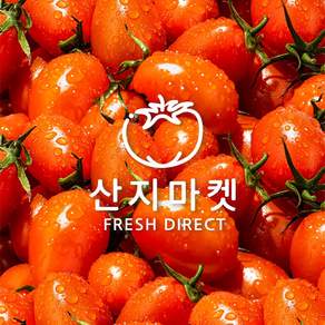 [산지마켓] 신선한 건강 대추 방울토마토 로얄과, 로얄과1.5kg, 1개
