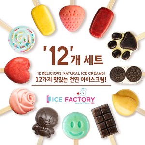 아이스팩토리 12가지 아이스크림 세트, 12개, 60g