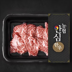 농협안심한우 살치살 1+등급 구이용 (냉장), 200g, 1개