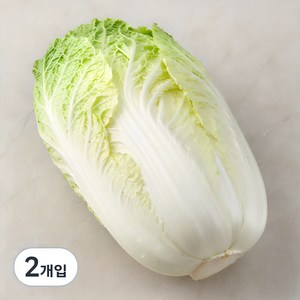 국내산 알배기 배추, 1개입, 2개