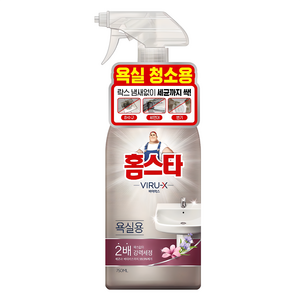 홈스타 바이럭스 세정제 욕실용, 750ml, 1개