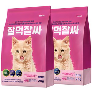 잘먹잘싸 전연령용 고양이 건식사료, 2kg, 연어, 2개