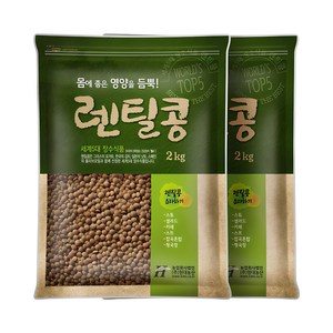 2023년 햇곡 갈색 렌틸콩 4kg (2kgx2봉) 렌즈콩, 1개