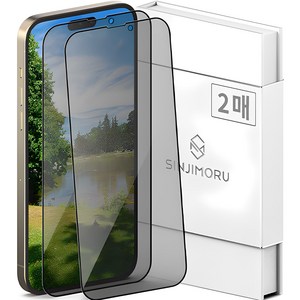 신지모루 사생활 보호 9H 고경도 강화유리 신지글래스 풀커버 프라이버시 휴대폰 액정보호필름 2p, 1세트