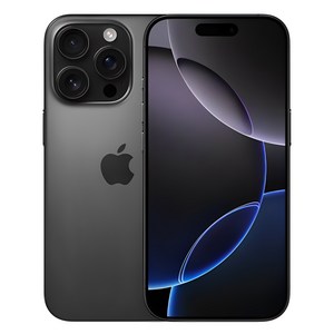 Apple 정품 아이폰 16 Po 자급제, 블랙 티타늄, 256GB