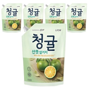 참그린 청귤 산뜻 설거지 주방세제 리필, 970ml, 5개