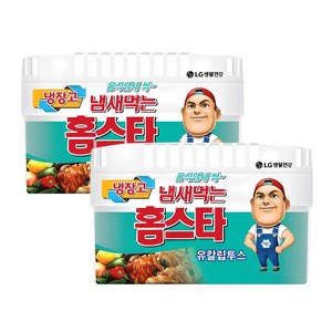 홈스타 유칼립투스 냉장고용 탈취제 본품, 420g, 2개