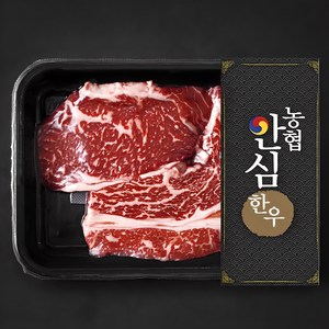 농협안심한우 등심 1등급 구이용 (냉장), 200g, 1개