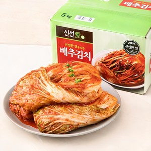 신선애 배추김치, 5kg, 1개