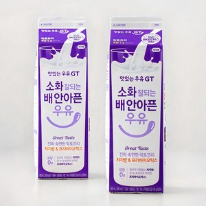 맛있는우유GT 소화 잘되는 배 안아픈 저지방 & 프리바이오틱스 우유, 900ml, 2개