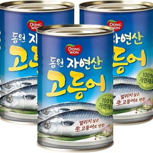 동원 고등어 통조림, 300g, 3개