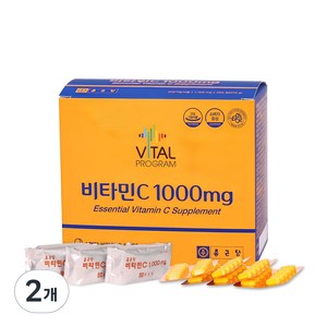 바이탈프로그램 비타민C 1000mg, 200정, 2개