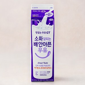 맛있는우유GT 소화 잘되는 배 안아픈 락토프리우유 저지방 & 프리바이오틱스, 900ml, 1개