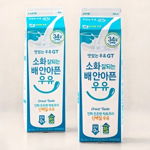 맛있는우유GT 소화 잘되는 배 안아픈 단백질 우유, 900ml, 2입