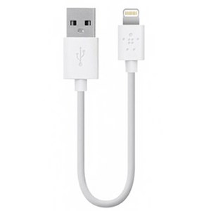 벨킨 라이트닝 싱크 충전 케이블 F8J023bt06IN 15cm, 화이트, 1개