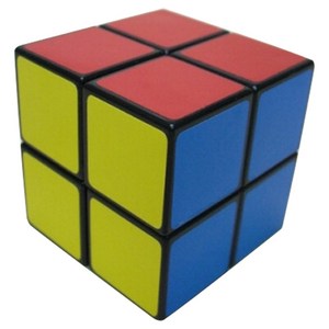 월성 5000 큐브 2 x 2 퍼즐 신형 5cm WSP-253, 혼합 색상